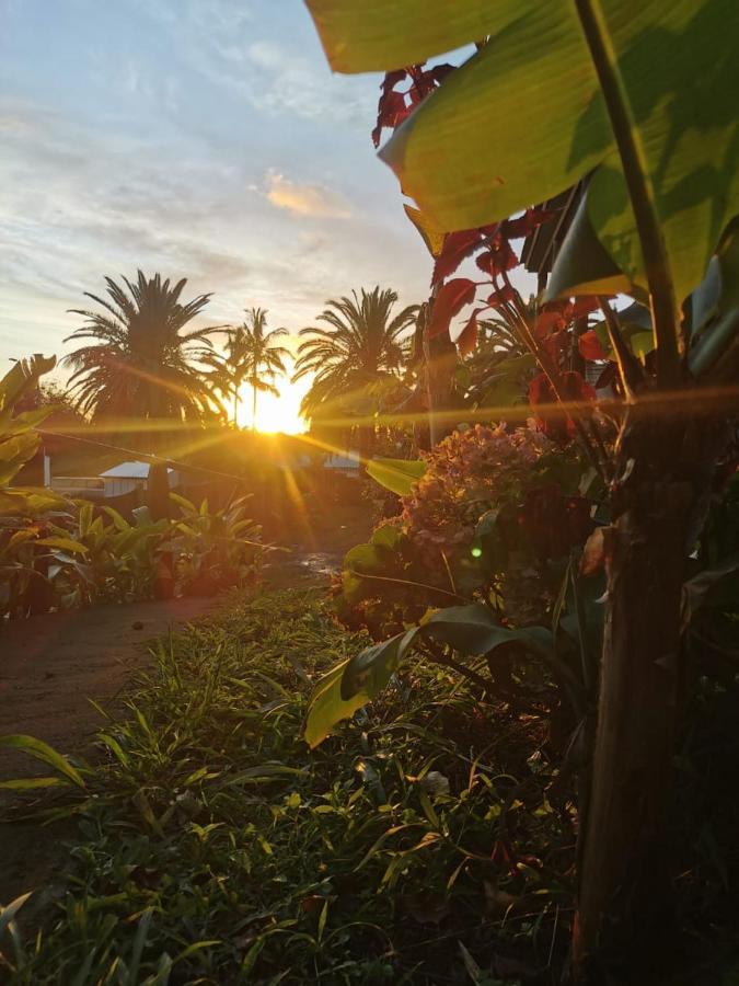 Hostal Tu'U Koihu 앙가로아 외부 사진