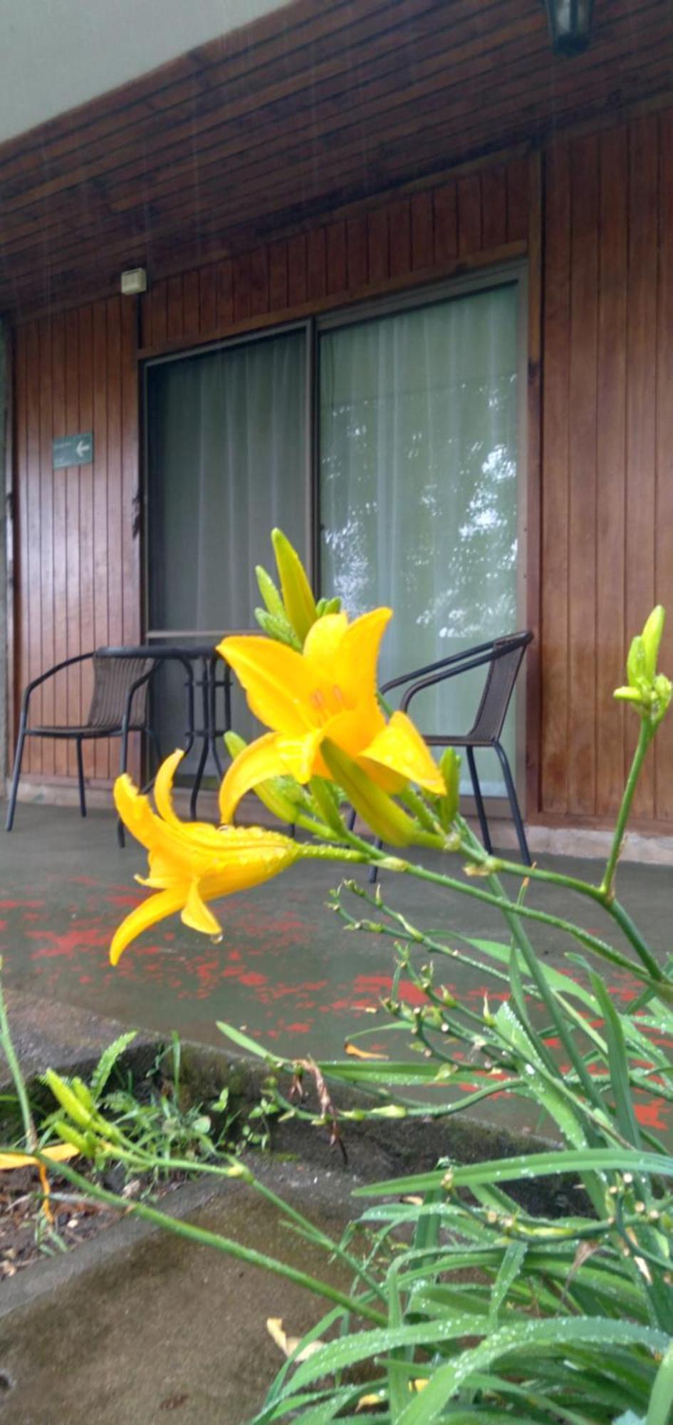Hostal Tu'U Koihu 앙가로아 외부 사진