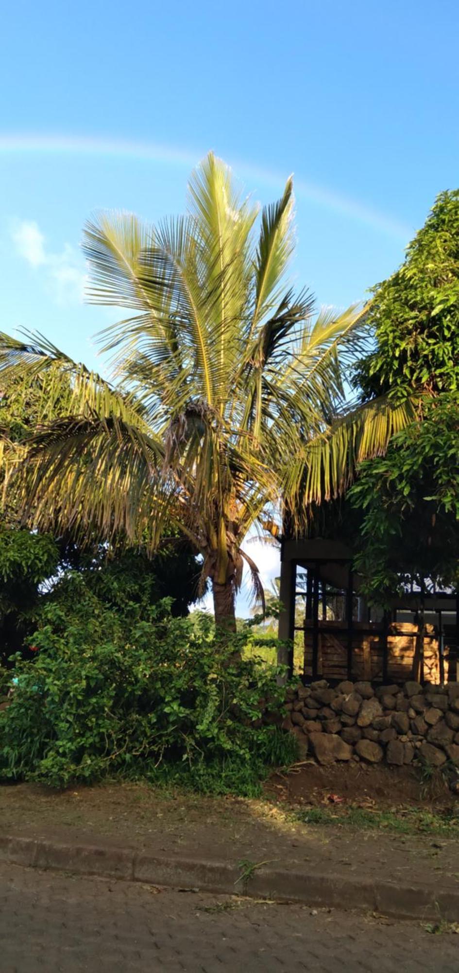 Hostal Tu'U Koihu 앙가로아 외부 사진