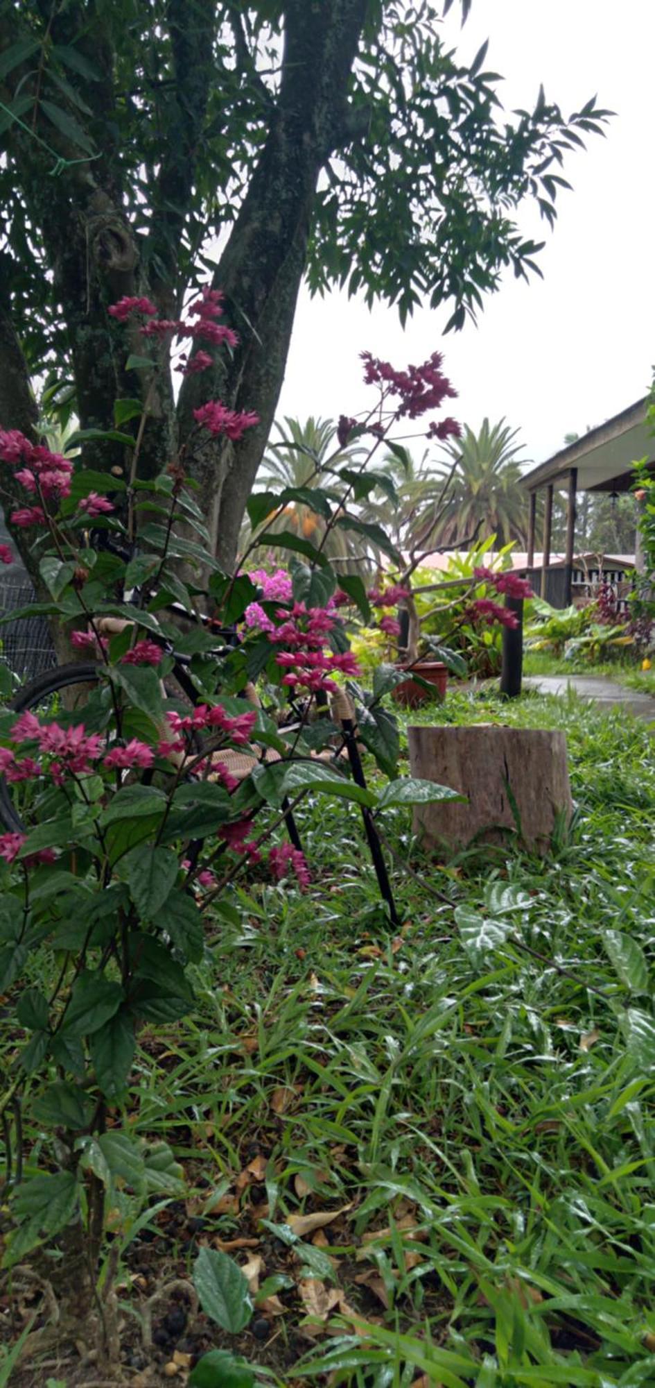 Hostal Tu'U Koihu 앙가로아 외부 사진
