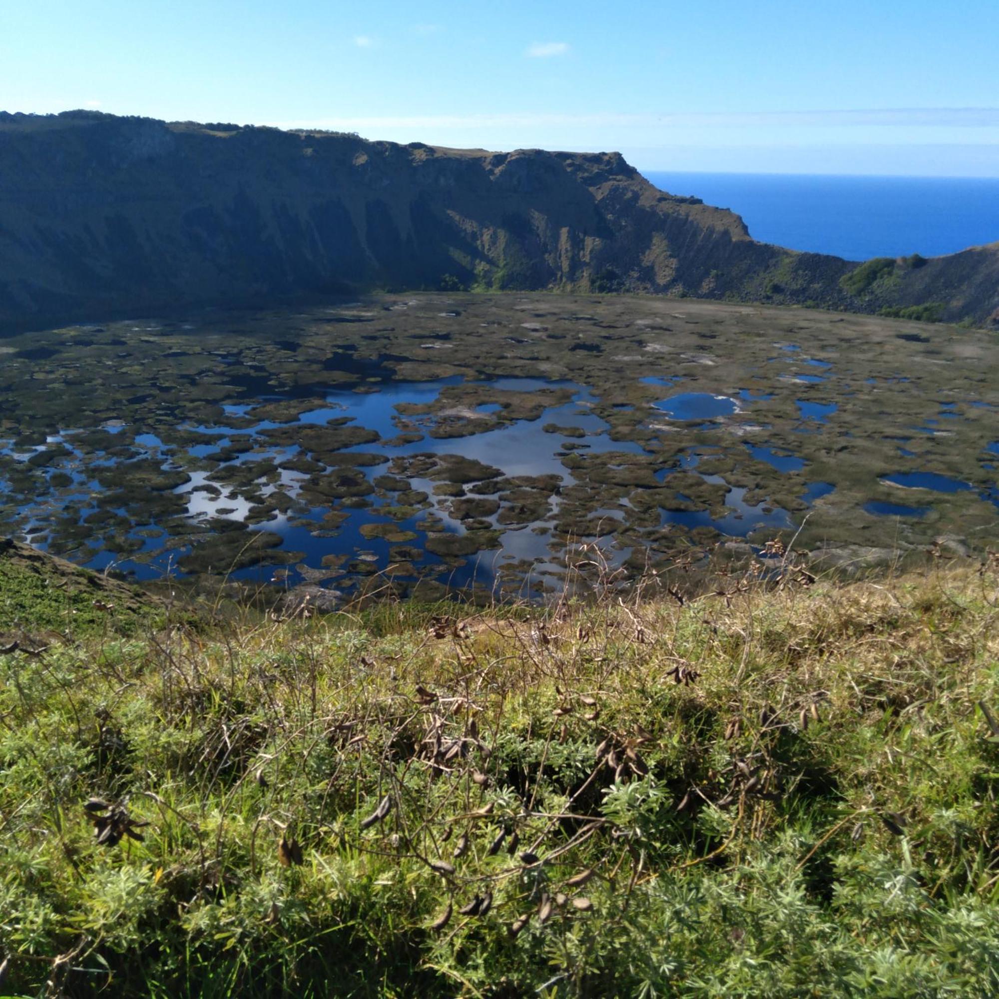 Hostal Tu'U Koihu 앙가로아 외부 사진