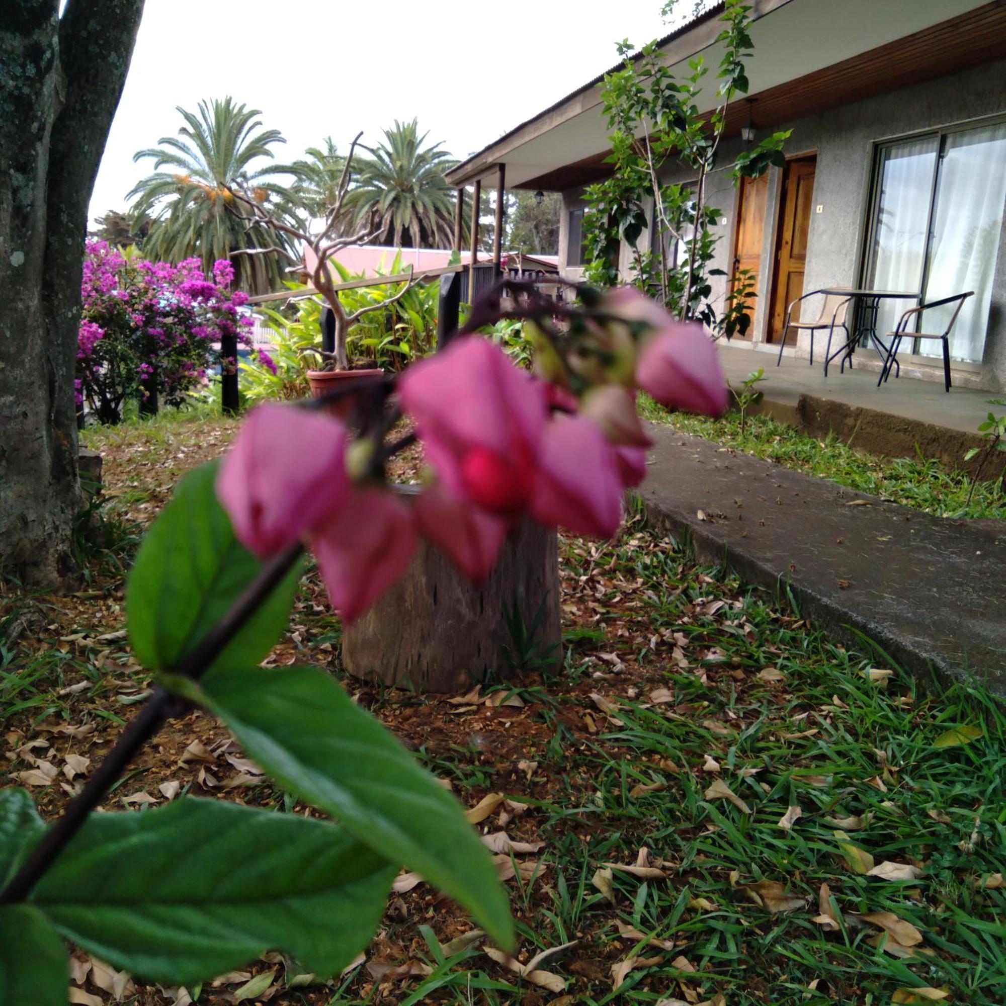 Hostal Tu'U Koihu 앙가로아 외부 사진